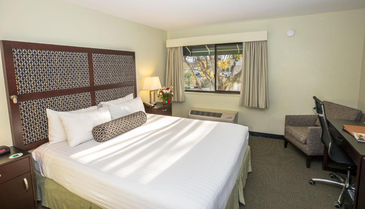 Maple Tree Inn Sunnyvale Bagian luar foto